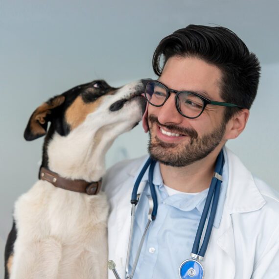 vet insurance
